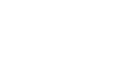 Acción
